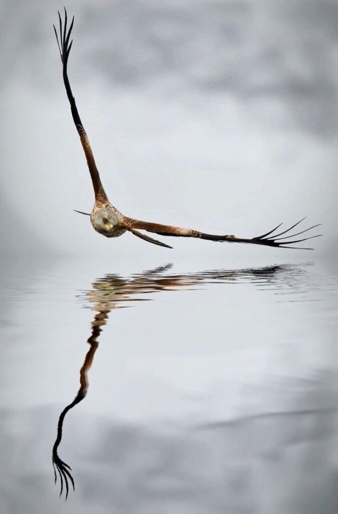 Download 82 674x1024